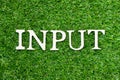 Wood letter in word input on green grass background