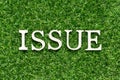 Wood alphabet letter in word issue on artificial green grass background Royalty Free Stock Photo