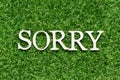 Wood letter in word sorry on artificial green grass background Royalty Free Stock Photo