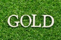 Wood alphabet in word gold on green grass background
