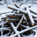 The wood is arranged haphazardly, with the snow lightly dusting th Royalty Free Stock Photo