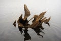 Abstract Wood art reflection in Adirondack lake