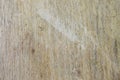 Wood Background Board Pine Nature Oak Panel Desk Royalty Free Stock Photo