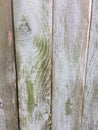 Wood background faded gray green algae accent knotty grunge fence