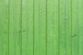 Wood background at fresh green