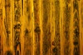 Wood background, many fibers form an abstract unique pattern. Wood texture background is a natural pattern of wood cut, reflecting