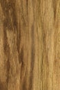 Wood background