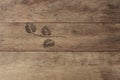 Wood background. Old wood texture with knots. Wood texture with leaf decoration, Wooden plank grain background.