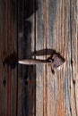 Wood background for red wooden door. Iron vintage entrance handle. Wood textures Royalty Free Stock Photo