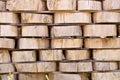 Wood background texture. Cross section of tree trunk. spili trees stumps stacked in stacks. Used for garden doropok, interior and