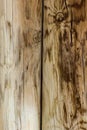 Wood Background Texture Royalty Free Stock Photo