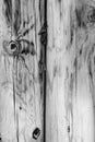 Wood Background Texture Royalty Free Stock Photo