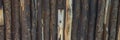 Wood background texture