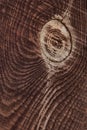 Wood background or texture