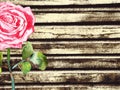 Wood background with watercolor rose