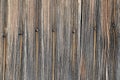 Wood background Royalty Free Stock Photo