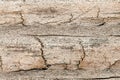 Wood background with worn weathered texture