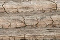 Wood background with worn weathered texture