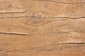 Wood backround texture. Macro Royalty Free Stock Photo