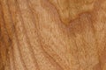 Wood backround texture. Royalty Free Stock Photo