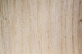 Wood backround texture. Royalty Free Stock Photo