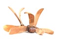 Wood ball wing