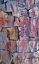 wood bark ,surface texture board knot abstractb Royalty Free Stock Photo