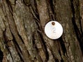 Wood bark texture with metal tab