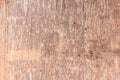Wood bark texture use as natural background Royalty Free Stock Photo