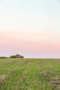 Wood Barn in Field