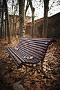 Wood bench with autumn leaves