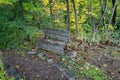 Wood bench covered in lichen in the forest Royalty Free Stock Photo