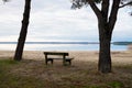 Wood bench empty in Sanguinet lake sand wild beach calm water in landes france