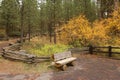 Wood bench in the fall