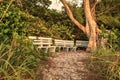 Wood bench overlooks White sand path leading toward Delnor Wiggins State Park