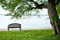 Wood bench under tree Royalty Free Stock Photo