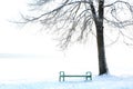 Wood bench under tree the park at winter day