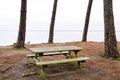 Wood bench and wooden table on lake side in Sanguinet