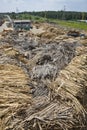 Wood and biomass plant