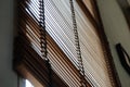 Wood blind shade curtain and shadow tree background Royalty Free Stock Photo