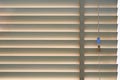 Wood blinds or curtain by the window