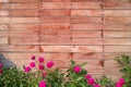 Wood Block Wall With Flowers Royalty Free Stock Photo