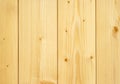 Wood Board with Knotholes Royalty Free Stock Photo