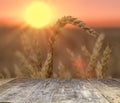 wood board table in front of field of wheat on sunset light. Ready for product display montages Royalty Free Stock Photo