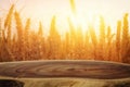 wood board table in front of field of wheat on sunset light. Ready for product display montage