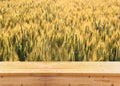 Wood board table in front of field of wheat on sunset light. Ready for product display montages Royalty Free Stock Photo