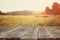 Wood board table in front of field of wheat on sunset light. Ready for product display montages