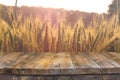 Wood board table in front of field of wheat on sunset light. Ready for product display montages Royalty Free Stock Photo