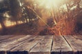 Wood boards and nature backgrounds of summer light among trees.