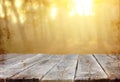 Wood boards and nature backgrounds of summer light among trees.